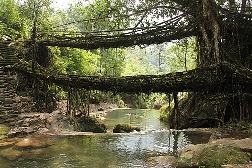 Famous landmark in Meghalaya — Living Root Bridges & Nohkalikai